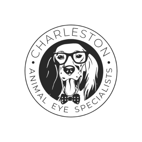 CharlestonAnimalEye