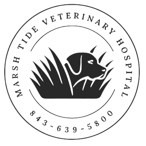 Marsh-Tide
